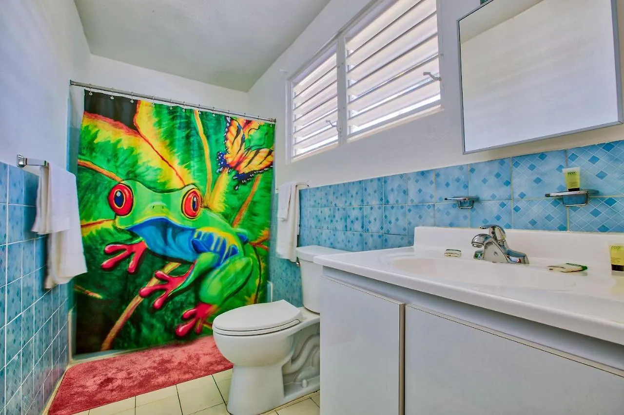** Hotel Coconut Palms Inn Rincon Puerto Rico