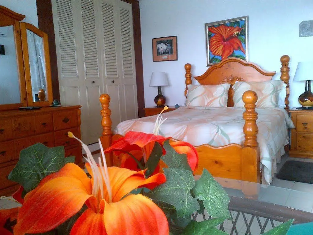 Hotel Coconut Palms Inn Rincon