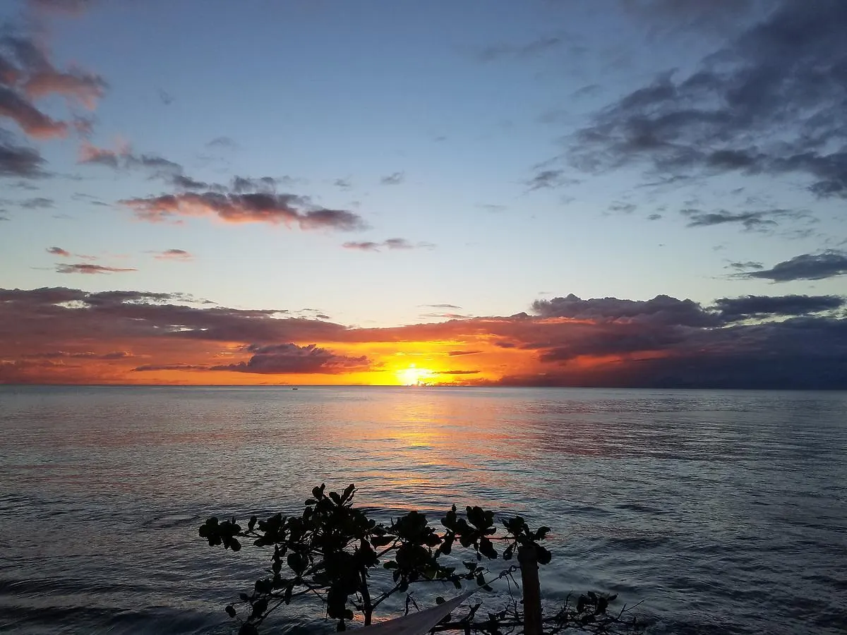 Coconut Palms Inn Rincon
