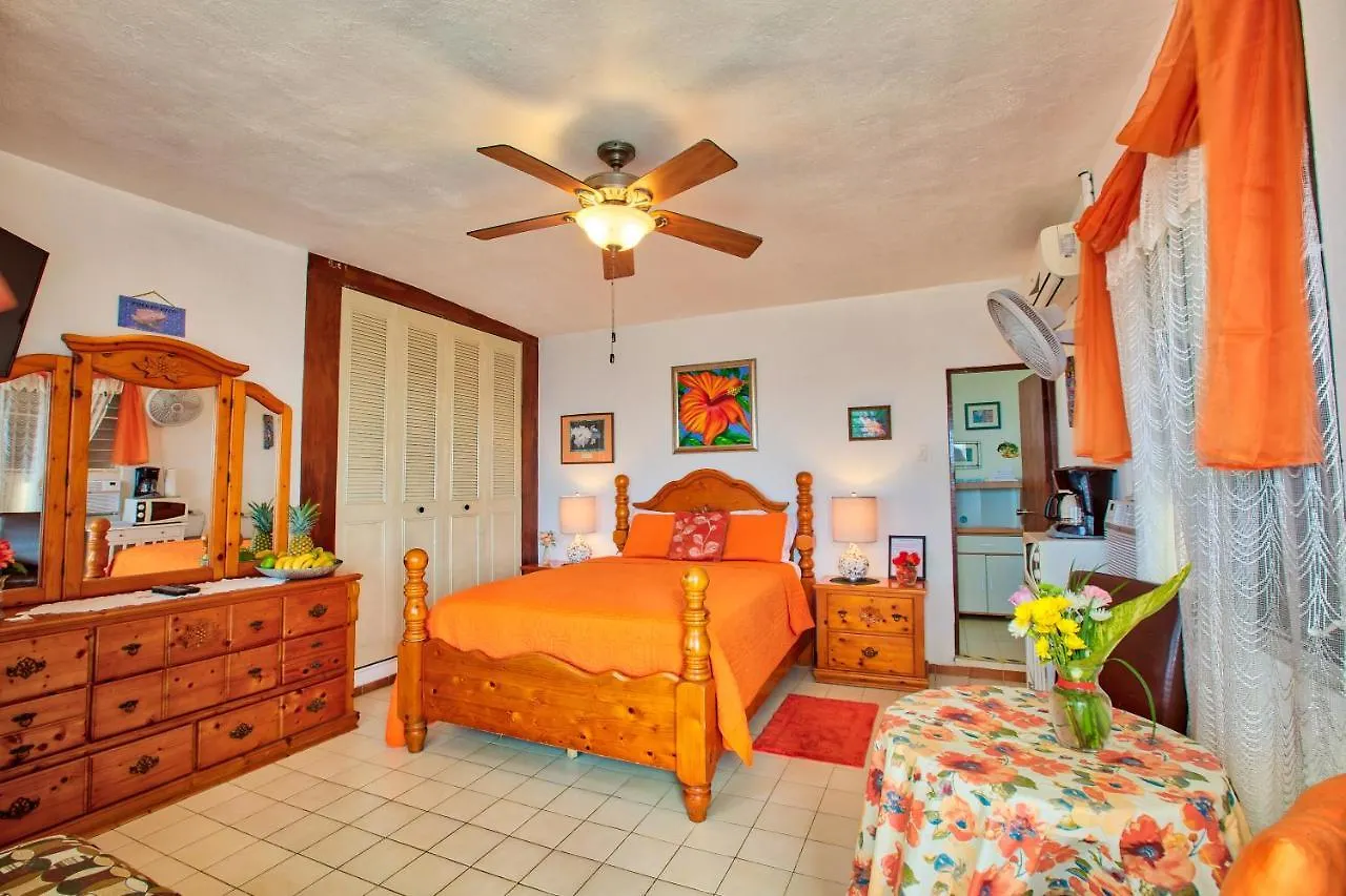 Coconut Palms Inn Rincon