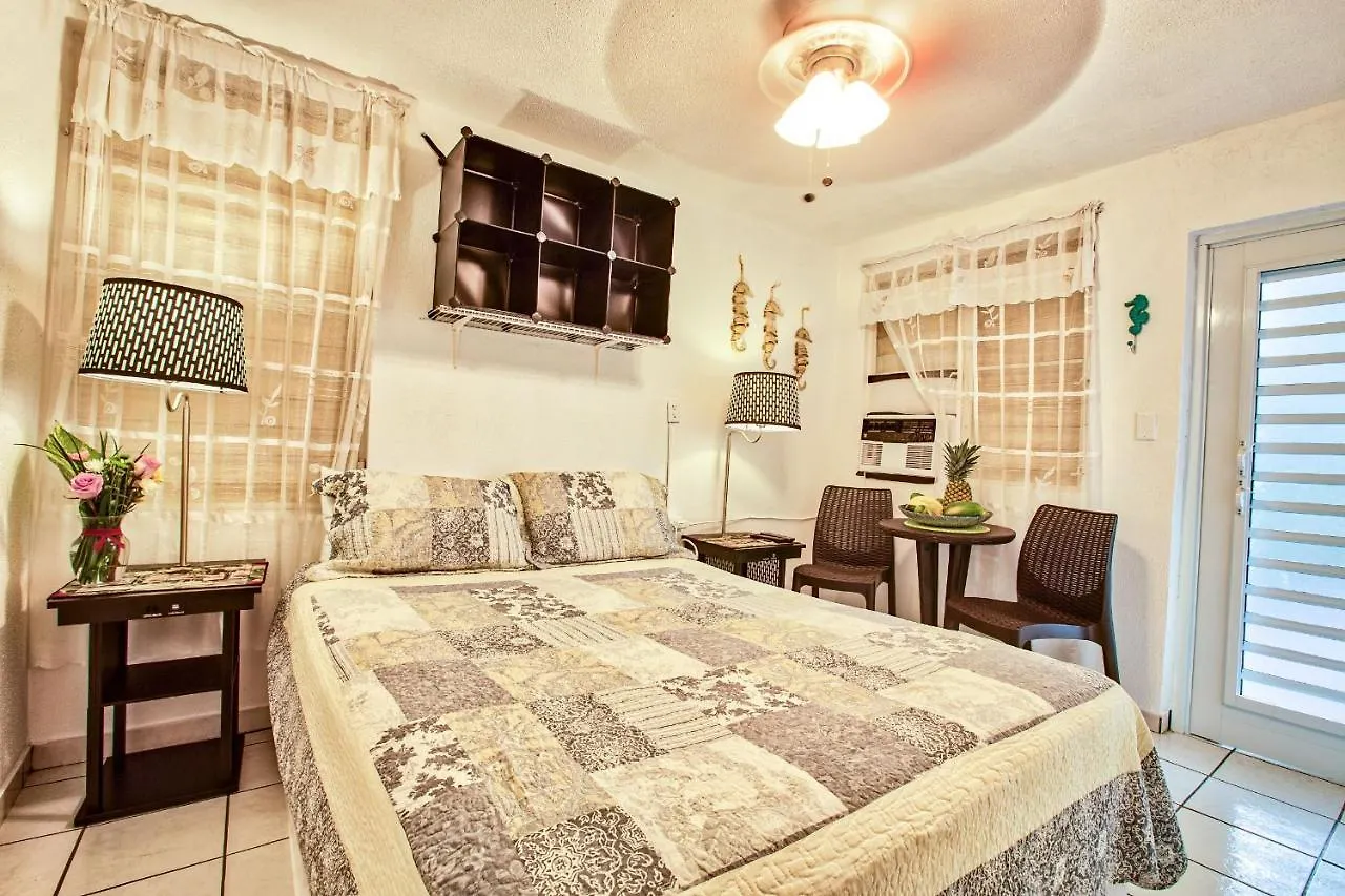 Coconut Palms Inn Rincon 2*,  Puerto Rico