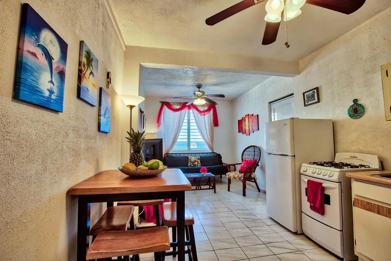 Coconut Palms Inn Rincon Hotel